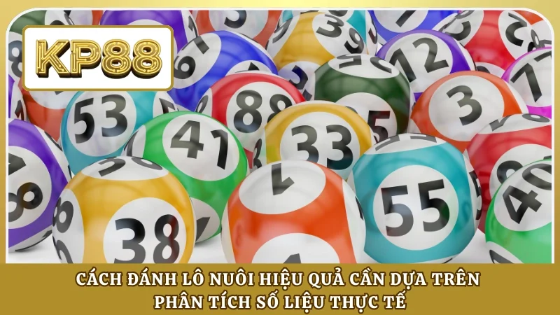 Cách đánh lô nuôi hiệu quả cần dựa trên phân tích số liệu thực tế