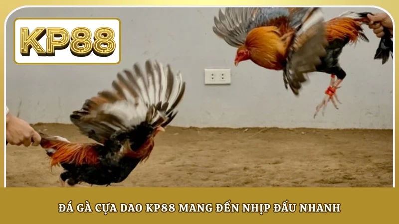 Đá gà cựa dao KP88 mang đến nhịp đấu nhanh