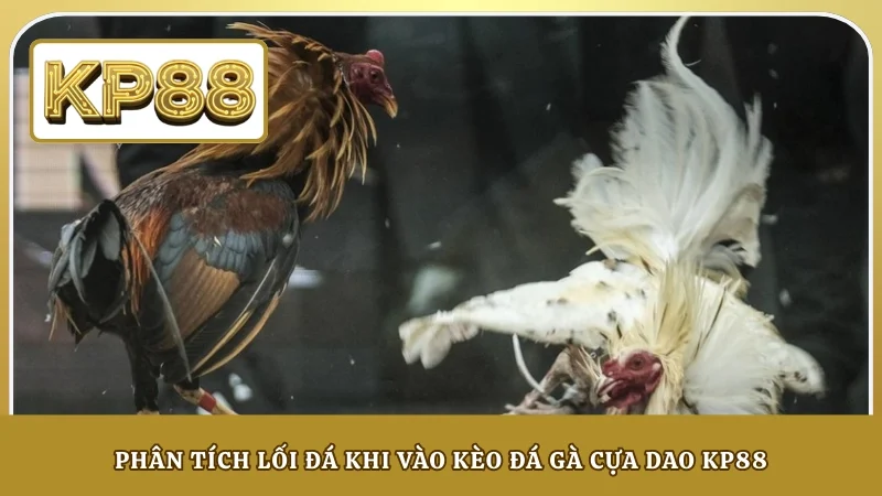 Phân tích lối đá khi vào kèo đá gà cựa dao KP88